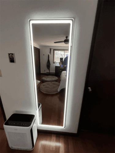 Jewel Aesthetic Figure Mirror photo review