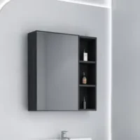 Vanity Mirror with Storage Cabinet