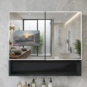 Landscape 2 Door TV Medicine Cabinet LED Mirror